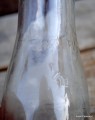 DSC_0156.JPG