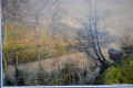 DSC_0316.JPG