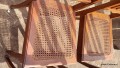 20220404_110113.jpg