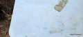 20220829_110411.jpg
