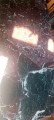 20230607_095238.jpg