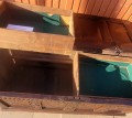 20250320_160621.jpg