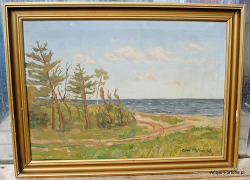 DSC_0050.JPG