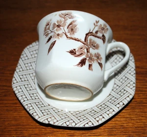 Filiżanka z talerzykiem - Royal Staffordshire  J&G Meakin