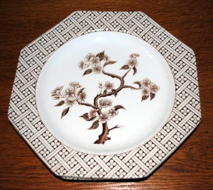 Talerz - Royal Staffordshire  J&G Meakin