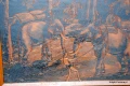DSC_0272.JPG