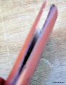 DSC_0066.JPG