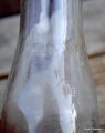 DSC_0156.JPG