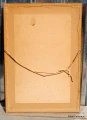DSC_0147.JPG