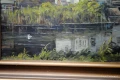 DSC_0123.JPG