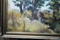 DSC_0291.JPG