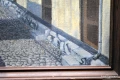 DSC_0139.JPG