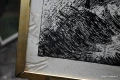 DSC_0037.JPG