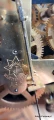 20220407_120749.jpg