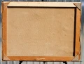 DSC_0050.JPG
