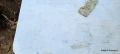 20220829_110411.jpg