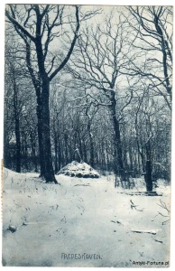  Pocztówka - Dania - Fredeskoven 1925 r
