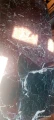 20230607_095238.jpg